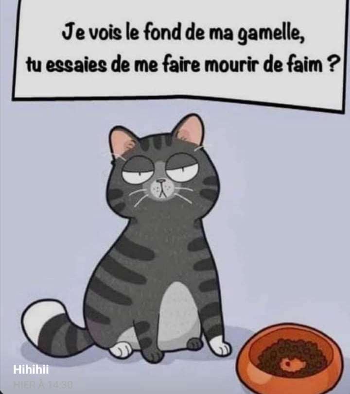 Animal exprimant un message. La communication animale permets de vous tenir au courant de ses besoins et de ses attentes.